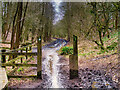 The Outwood Trail approaching Nutall Wood in M26 1DZ
