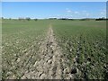 The well-used bridleway to Red Lane in WF1 5TP