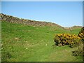 The Cumbria Way near Higher Lath Farm in Osmotherley