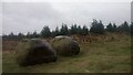 Two Big Stones on Polkemmet Moor in EH47 8FD