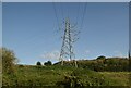 Pylon, Medway Valley in Barming Heath & Teston Ward