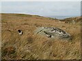 Glacial erratic boulder in LL33 0ER