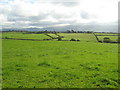 Farmland near Plas Llandegfan in Cwm Cadnant Community