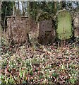 Old gravestones at Dowles in DY12 1NF