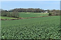 Field below Mean Wood, looking toward White House in SP5 2QX