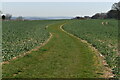 Grassy path on Dean Hill in SP5 2QX