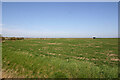 Flat landscape near Oxenham Farm, Great Wakering in SS3 0BT