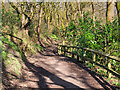 Path at Prestwich Clough in M25 3JS