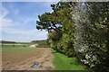 Field and Small Wood Near Ickleton Old Grange in SG8 8XB