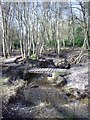 Stream and footbridge in Castle Bottom in RG27 0QA