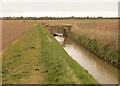 Flimsy old brick bridge over Thorngumbald Drain in South West Holderness Ward