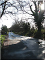 Fairholme Road in Newton St Faith