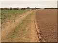Footpath next to Haylands Drain in South West Holderness Ward