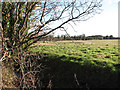 Fields across the road in Newton St Faith