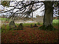 Aldourie stone circle in IV2 6TR