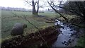 The Unnamed Drumcross Burn in EH48 1JY