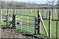 Gate and fences at Elm Farm in SP5 2BE