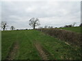 Tractor tracks in a grass field near Stonesby in LE14 4PR