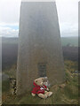 Hill of Talnamounth Trig Point Flush Bracket S6952 in AB54 4XR