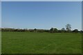 Field near Masham Bridge in HG4 4ER
