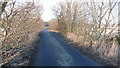 Road near Cammo Estate in EH4 8FW