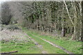 Track on the edge of Titchborne Hundred Acre Copse in SP5 2JX