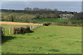 Path across fields near Whites Farm in SP5 2QJ