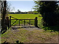 Footpath opposite Pepwell Cottage, Norchard, Worcestershire in DY13 9SN