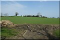 Farmland beside the Grewelthorpe road in HG4 3DS
