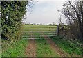 Entrance to field on east side of public bridleway in LE17 5JU