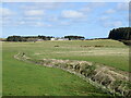 Tillery Burn with Hillbrae Farm in the distance in AB23 8XJ