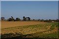Fields east of Priory Lane, Snape in IP17 1SA