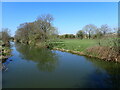 River Beult seen from a footbridge in ME15 0SG