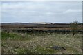 Heyshaw Moor near Nought Moor Road in HG3 4HE