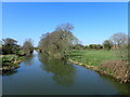 Looking downriver along the River Beult in ME15 0SG