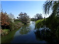 Looking upriver along the River Beult in ME15 0SG