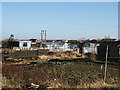 Allotments at Lingdale in TS12 3EF