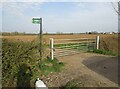 Entrance to field east of Gilmorton Road from west in LE17 5NE