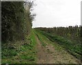 Public bridleway southwards in LE17 5JU