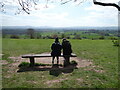 Bench on Lyth Hill near Spring Coppice in SY3 0BT