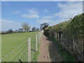 Footpath fenced in at the field edge in SY3 0BW