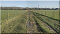 Path heading towards Ivinghoe in LU7 9DZ