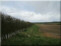 Well established hedge and prepared field in Knossington and Cold Overton