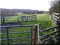 Sheep pens at Balance Meadows in Abersychan Community