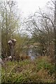 Balancing Pond by Chivers Road in CB9 9DR