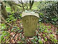 Old Boundary Marker beside West Clough Bridge in BB7 4QH