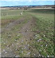 Track along edge of field in ML7 5TR
