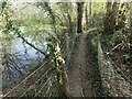 Footpath past a pond in Five Acre Wood in TN17 4EU
