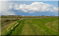 Sea wall near Paglesham Creek in SS4 2EX