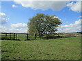Bridleway to Twyford Road in Marefield